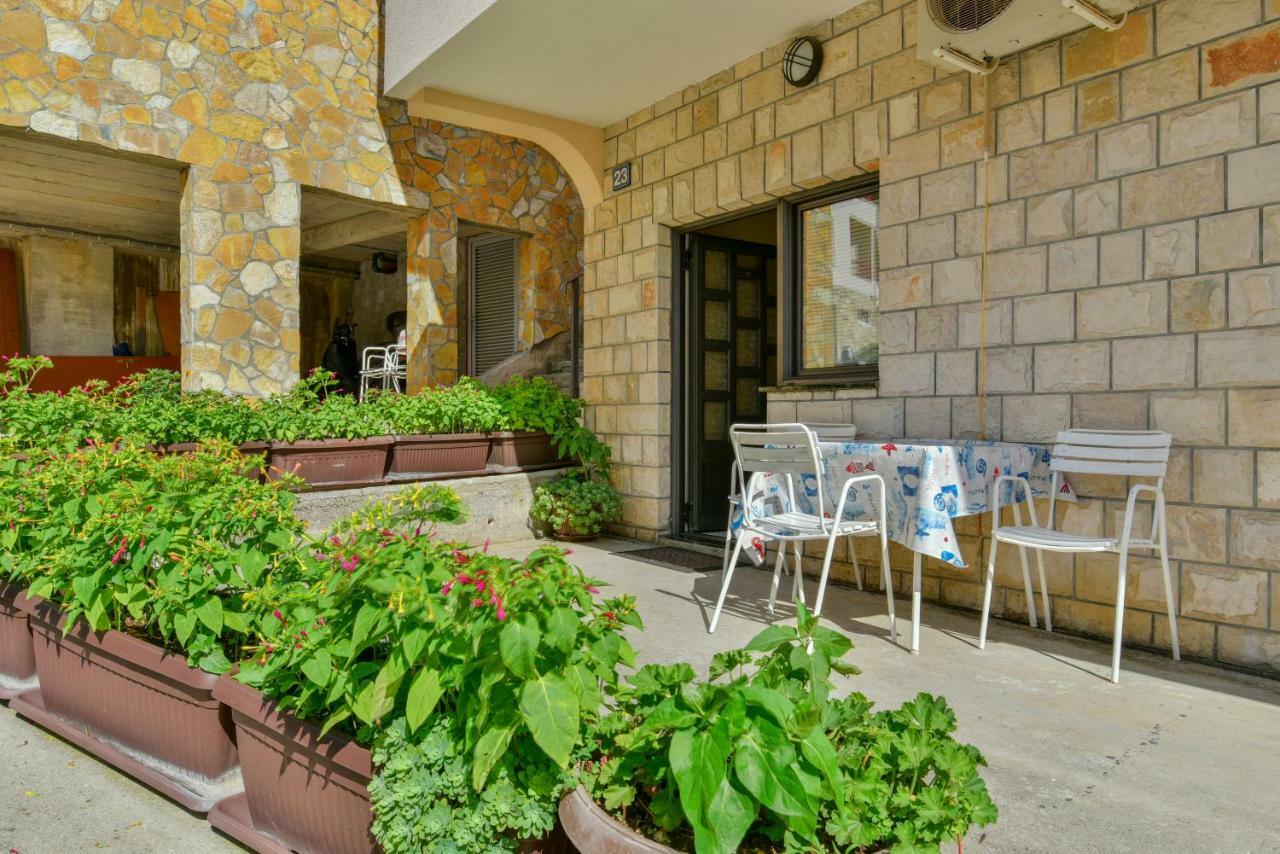 Apartments Srzentic Petrovac المظهر الخارجي الصورة